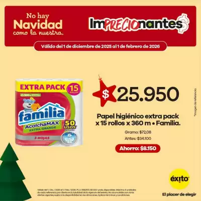 Catálogo Éxito (válido hasta 1-02)