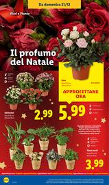 Volantino Lidl settimana 52 Pagina 40