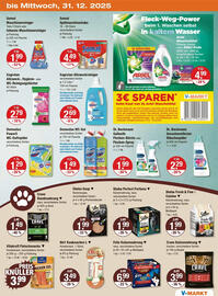 V Markt Prospekt Seite 11