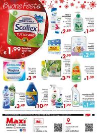 Volantino Maxi Family Pagina 8