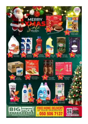 Bigmart leaflet (valid until 25-12)