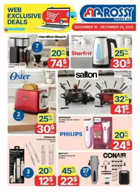 Rossy flyer (valid until 24-12)