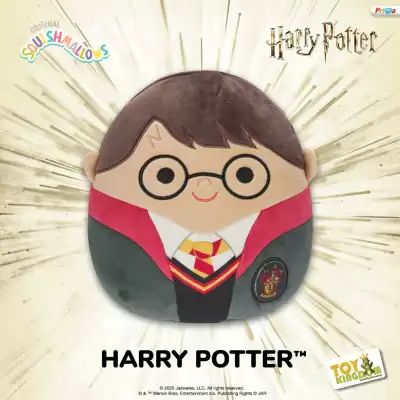 Toy Kingdom catalogue (valid until 24-12)