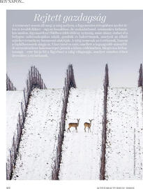 DM akciós újság Oldal 10