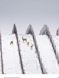 DM akciós újság Oldal 11