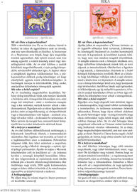 DM akciós újság Oldal 89