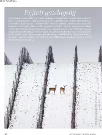 DM akciós újság Oldal 10