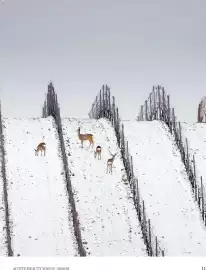 DM akciós újság Oldal 11