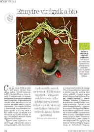 DM akciós újság Oldal 74