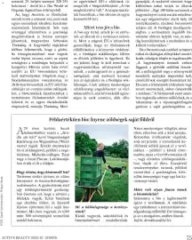 DM akciós újság Oldal 75