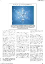 DM akciós újság Oldal 81