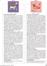 DM akciós újság Oldal 89