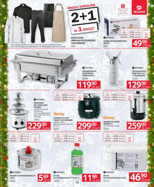 Selgros gazetka Strona 15