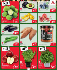 Selgros gazetka Strona 36