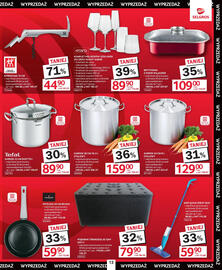 Selgros gazetka Strona 13