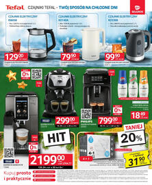 Selgros gazetka Strona 19