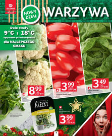 Selgros gazetka Strona 4