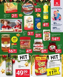 Selgros gazetka Strona 13