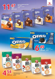 Selgros gazetka Strona 24