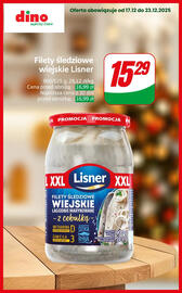 Dino gazetka tydzień 51 Strona 10