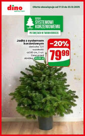 Dino gazetka tydzień 51 Strona 13