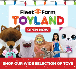 Mills Fleet Farm weekly ad week 51 Page 10