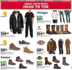 Mills Fleet Farm weekly ad week 51 Page 11
