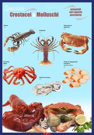 Volantino Docks Cash&Carry Pagina 7