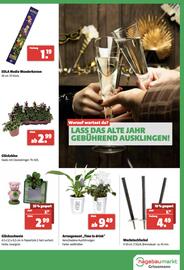 Der Grissemann Flugblatt woche 52 Seite 11