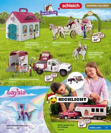 Der Grissemann Flugblatt woche 51 Seite 15