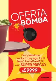 Folleto Tupperware Página 14