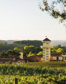 Encarte Festval Página 46