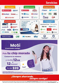 Folleto Farmacias Guadalajara Página 5