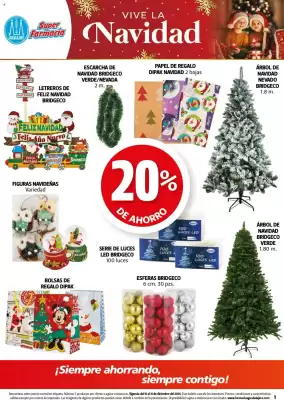 Folleto Farmacias Guadalajara (válido hasta 31-12)