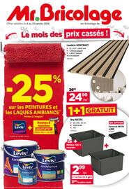 Mr Bricolage folder Pagina 1
