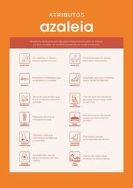 Catálogo Azaleia Página 2