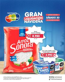 Catálogo Surtifamiliar Página 5