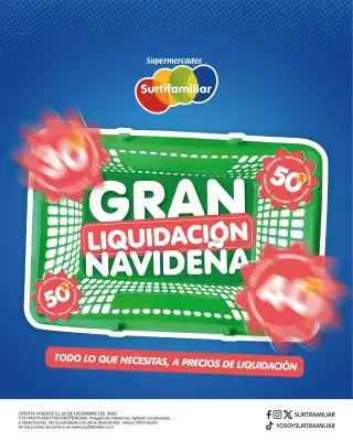 Catálogo Surtifamiliar (válido hasta 20-12)