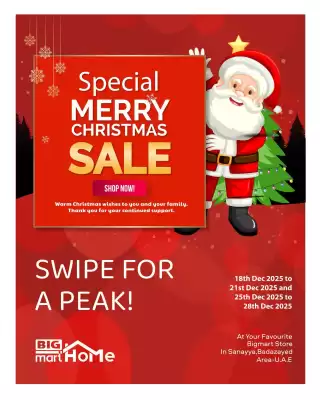 Bigmart leaflet (valid until 21-12)