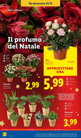 Volantino Lidl settimana 52 Pagina 40