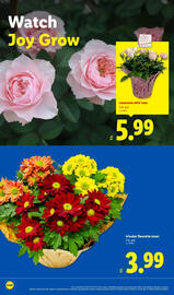 Lidl weekly ad week 52 Page 20