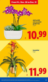Lidl weekly ad week 52 Page 21