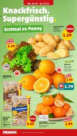 PENNY Prospekt woche 52 Seite 6