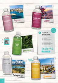 Prowin Katalog Seite 42