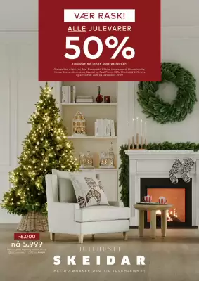 Skeidar kundeavis (gyldig til 22-12)