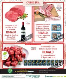 Folleto Masymas Página 7