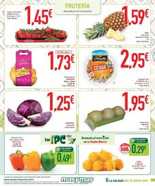 Folleto Masymas Página 9