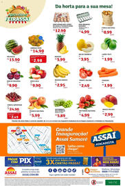 Encarte Assaí Atacadista Página 8