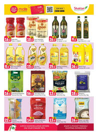 Shaklan leaflet Page 10