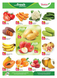 Shaklan leaflet Page 2